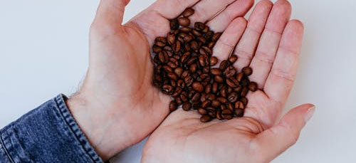 Featured image Best coffee beans in the world Kopi Luwak - Best coffee beans in the world